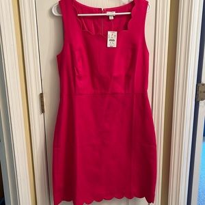 Jcrew new with tags size 12 pink scalloped dress